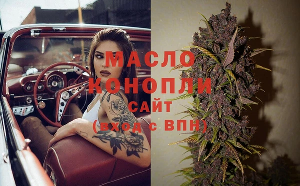 хмурый Ладушкин