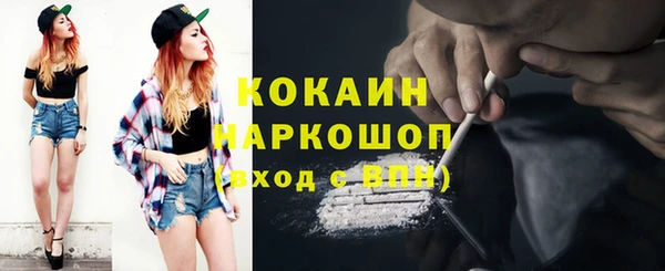 хмурый Ладушкин