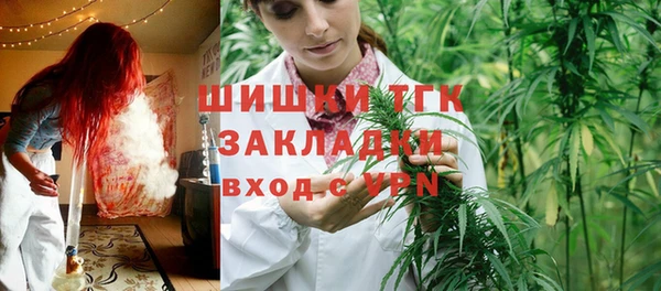 хмурый Ладушкин