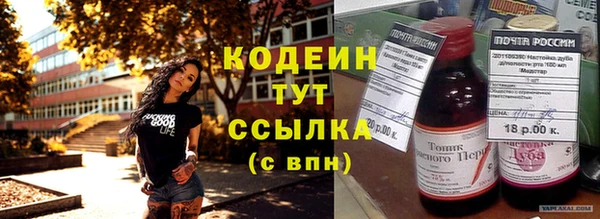 молекула духа Лабытнанги