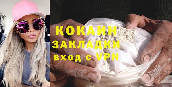 хмурый Ладушкин