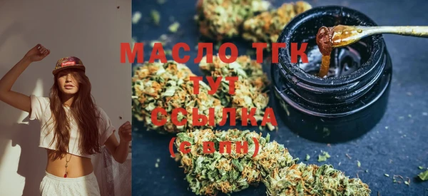 хмурый Ладушкин