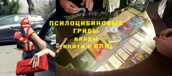 хмурый Ладушкин