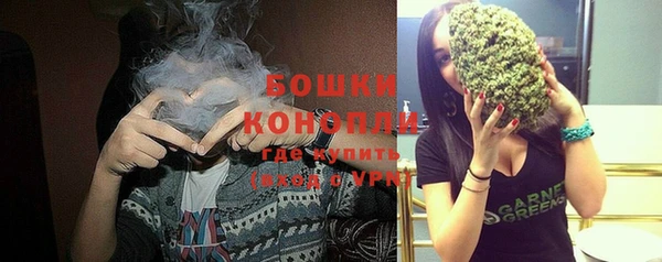 молекула духа Лабытнанги
