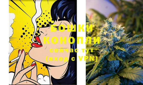 молекула духа Лабытнанги