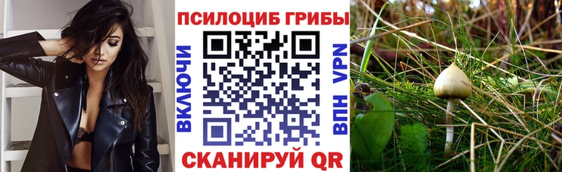 Галлюциногенные грибы MAGIC MUSHROOMS  KRAKEN ССЫЛКА  Княгинино  где найти наркотики 